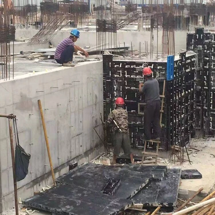 pp in building pp in building